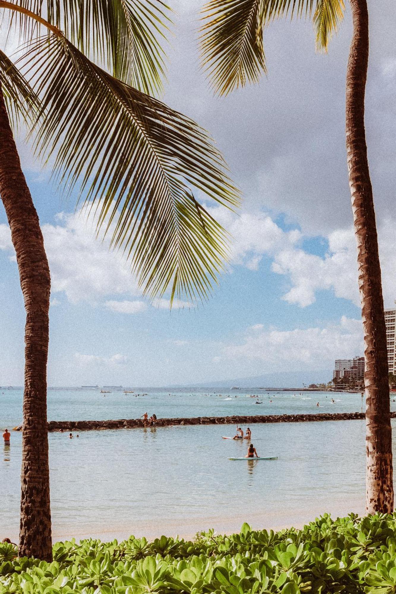 Hotel Royal Grove Waikiki Honolulu Zewnętrze zdjęcie