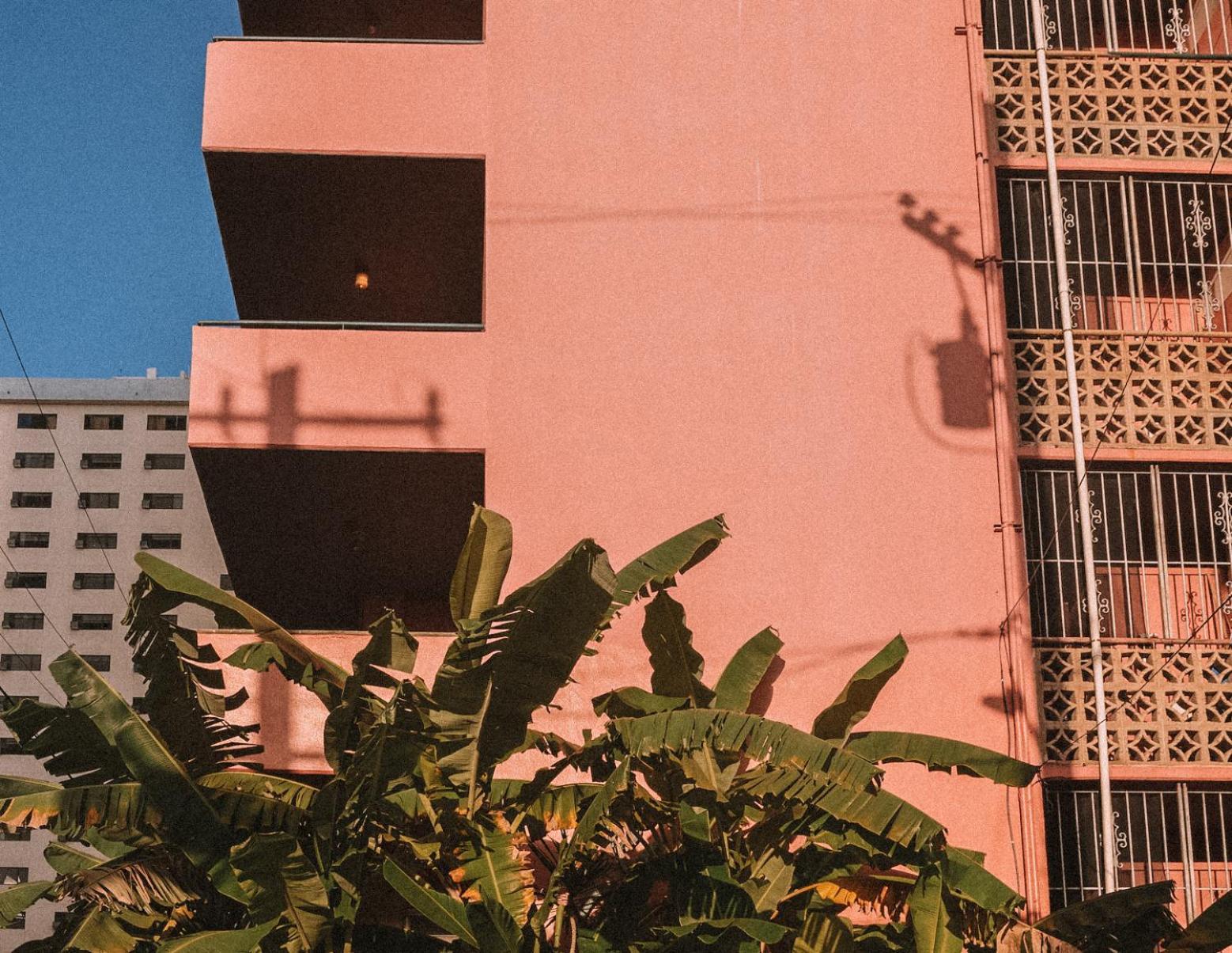 Hotel Royal Grove Waikiki Honolulu Zewnętrze zdjęcie